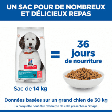 Canine Hypoallergenic Large Breed Saumon