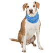Cooling bandana PVA