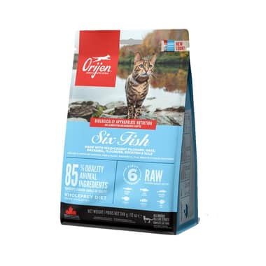 SIX FISH Cat