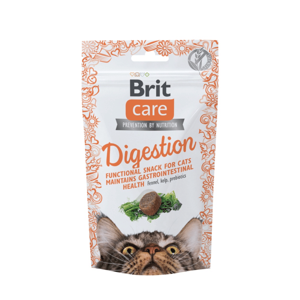 Care Cat Snack Digestion