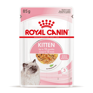 Kitten en gelée - sachet