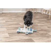 Dog Activity Move2Win