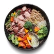 Adult duck with buckwheat