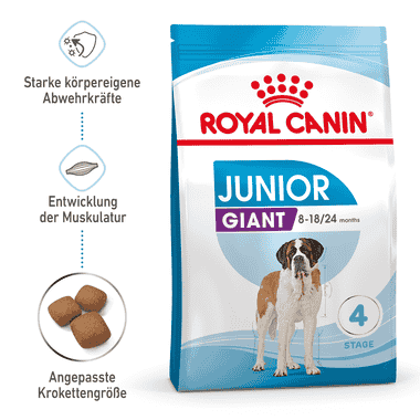 Giant Junior