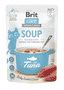 Care Cat Soup