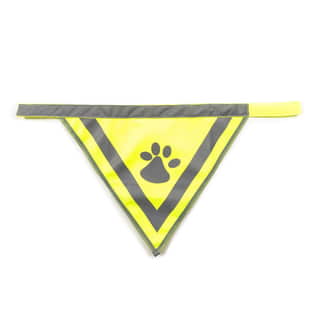 Safety Bandana
