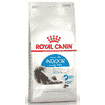 Indoor Longhair 35 Cat