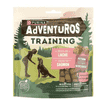 Adventuros Training