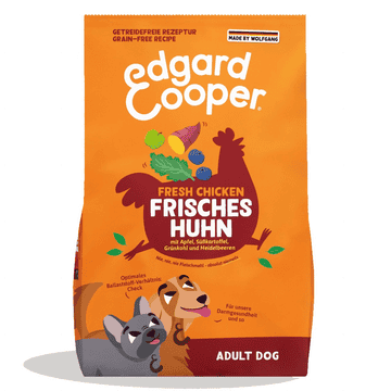 Adult Frisches Huhn