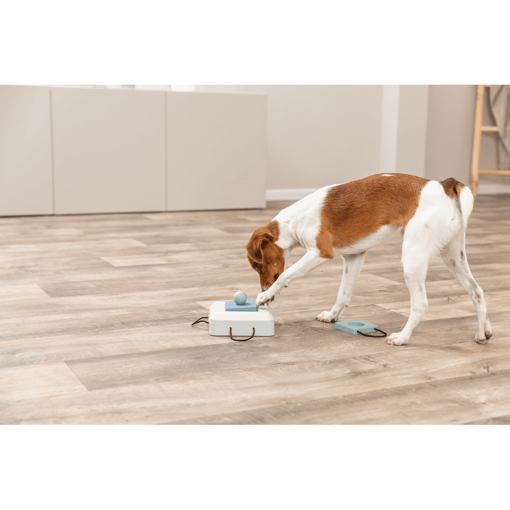 Dog Activity Gamble Box
