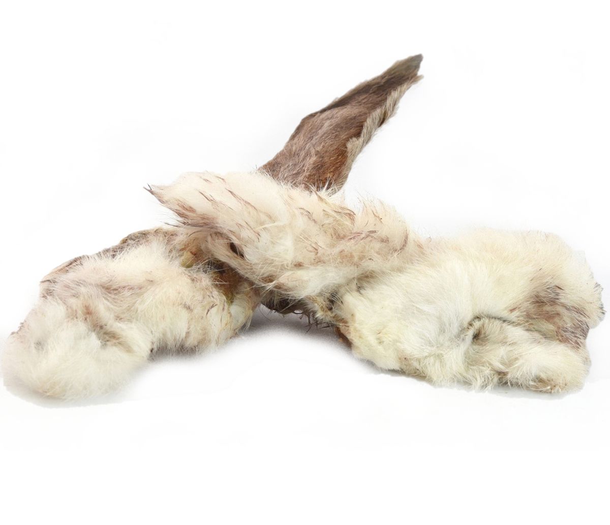Natural snack rabbit ears with coat