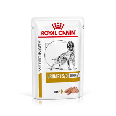 Urinary S/O Dog Ageing +7  sachet