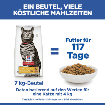 Feline Urinary Health