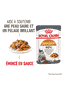 Hair & Skin Gravy - Sachet