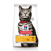Feline Adult Urinary Health