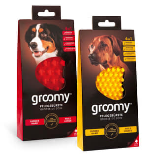 Brosse de soins pour chiens