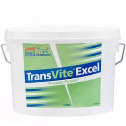 TransVite Excel