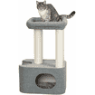 Viviana cat scratcher