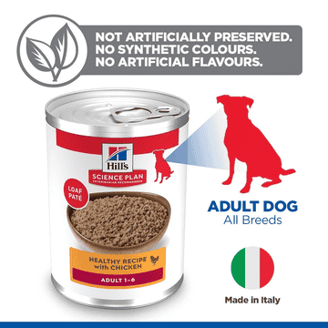 Canine Adult Chicken - Can