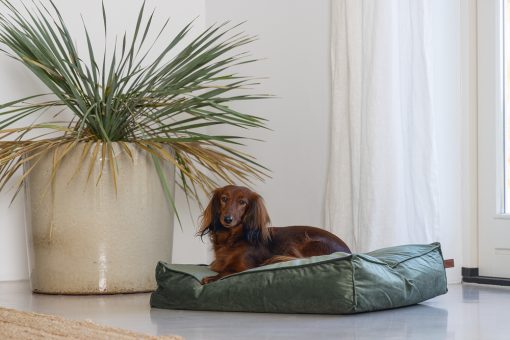 Coussin pour chien Nalino velours