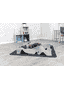 Cat Activity Adventure Carpet