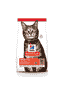Feline Adult with Lamb
