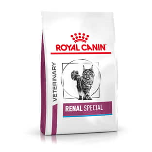 Renal Special Cat