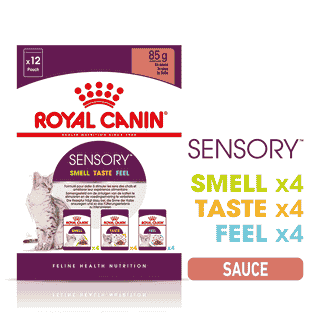 SENSORY SMELL, TASTE, FEEL en Sauce, Sachets