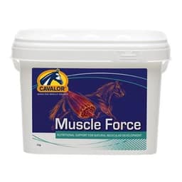 Muscle Force
