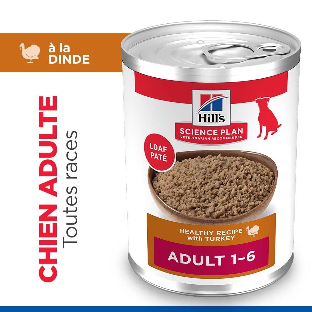 Canine Adult Turkey - Boîte