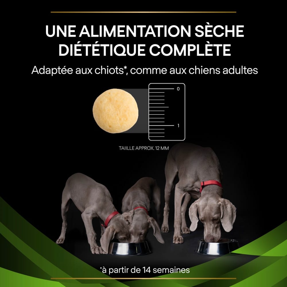 CANINE HA Hypoallergenic