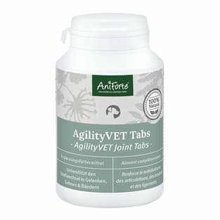 AgilityVET Tabs