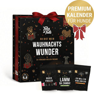 Wauhnachts-Wunder - Adventskalender