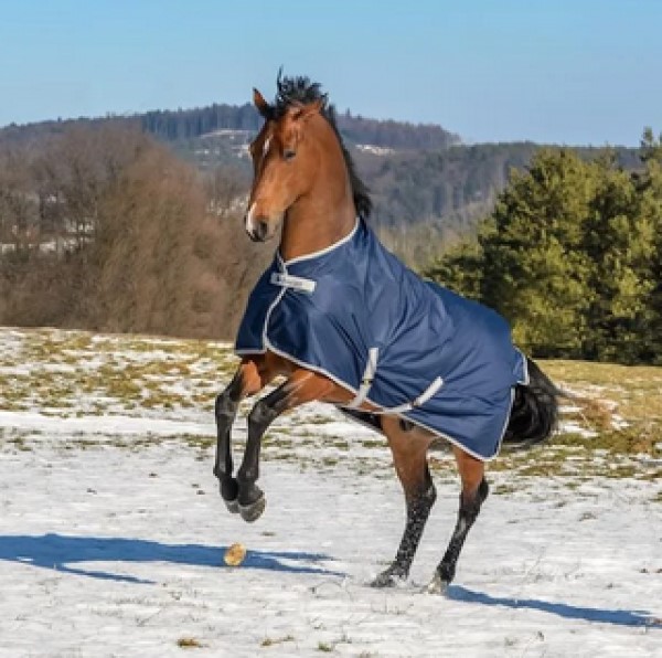 Couverture d'hiver Freedom Turnout 300 g