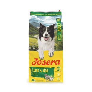 Adult Lamb & Rice