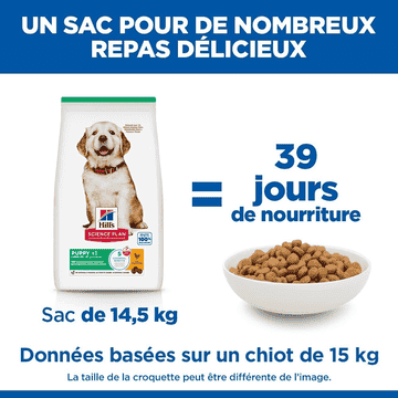 Puppy Large Breed