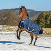 Couverture d'hiver Freedom Turnout 300 g
