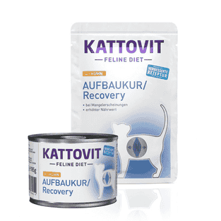 Aufbaukur/Recovery
