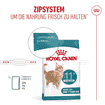 Ageing 11+ Sterilised