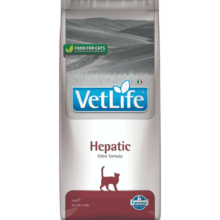 Feline Hepatic