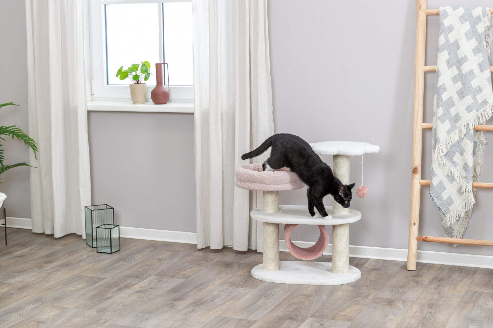 Isabella cat scratcher