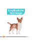 Urinary Care Mini
