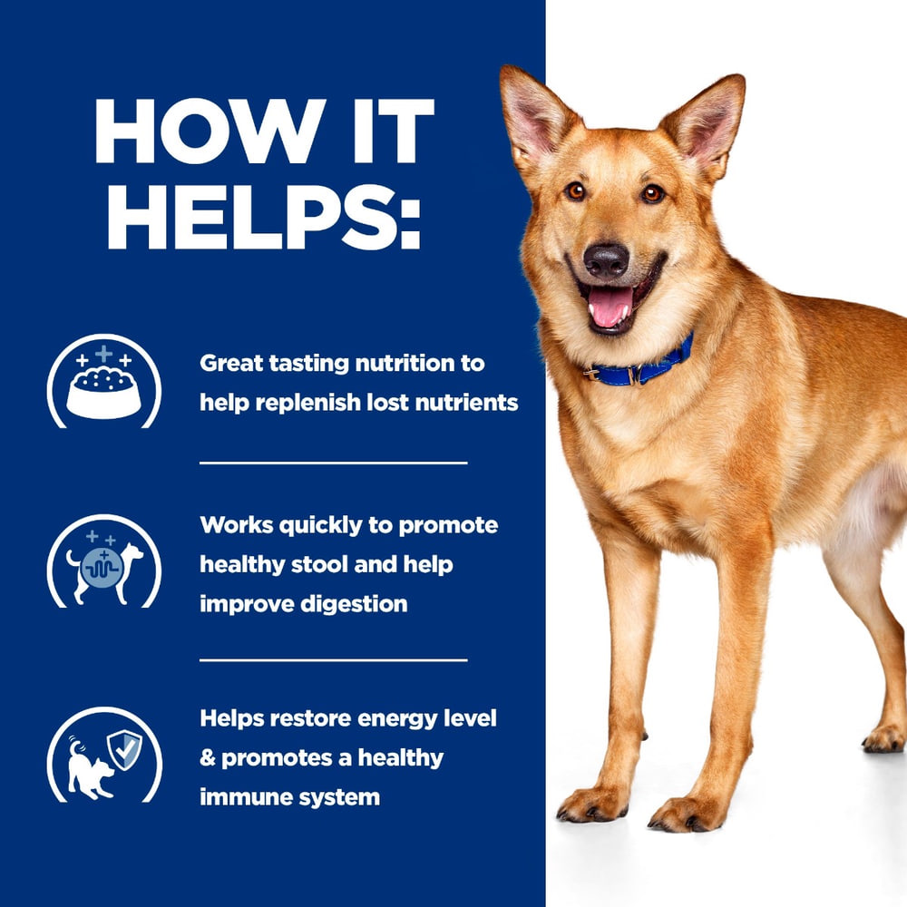Canine i/d Digestive Care Turkey - Can