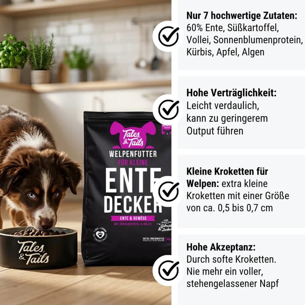 Für kleine EnteDecker