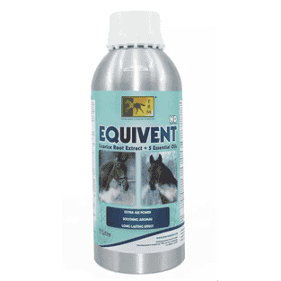 Equivent ND