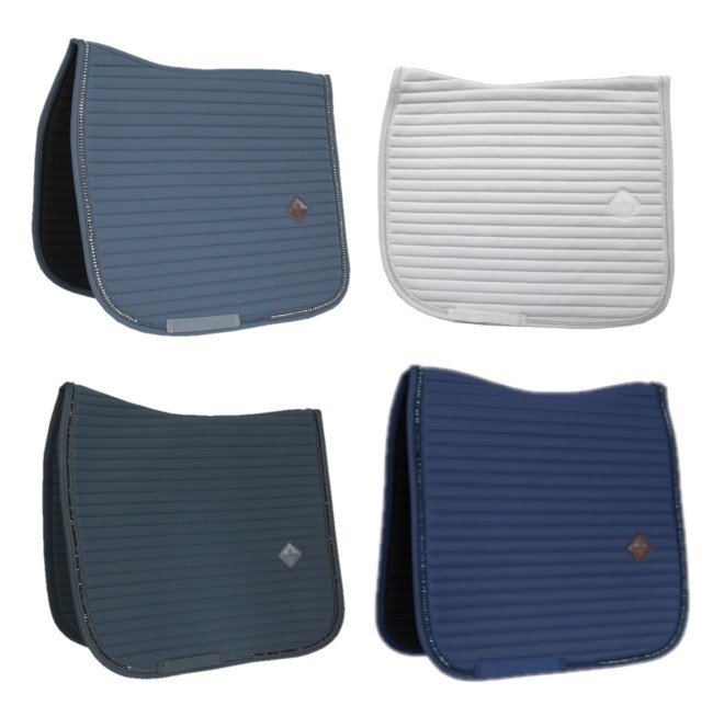 Chabraque Pearls demi-sang/dressage