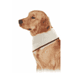 Foulard rafraîchissant L