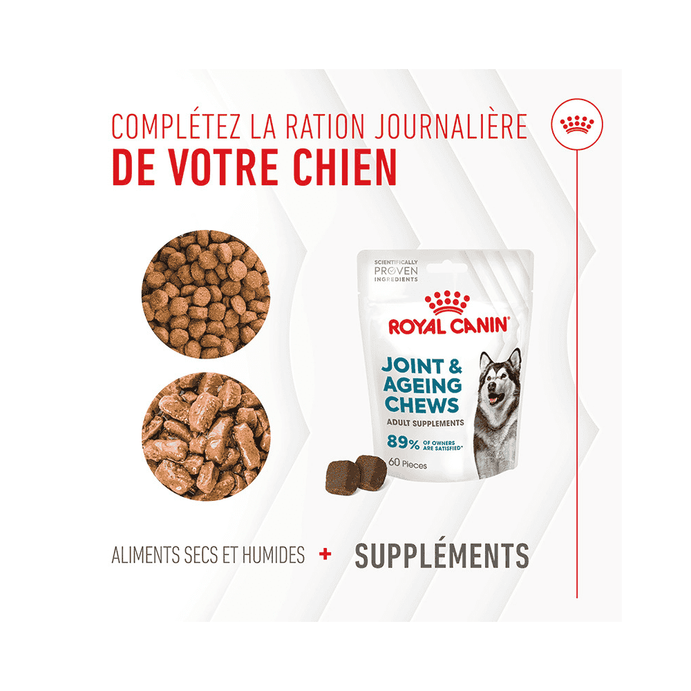 Joint & Ageing Chews Adult Supplements