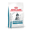 Hypoallergenic Puppy
