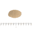 Biotin Forte en Poudre
